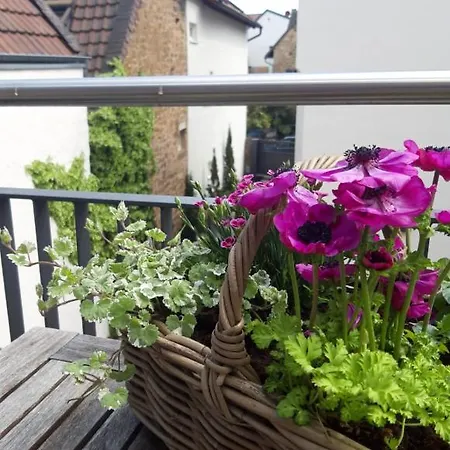 Apartment Franzoesin - Ingo Telschow & Catherine Tempier Gbr
